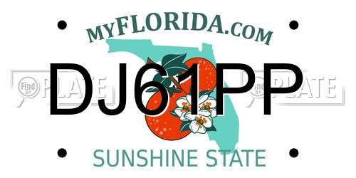 DJ61PP Florida License Plate