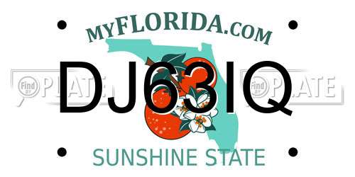 DJ63IQ Florida License Plate