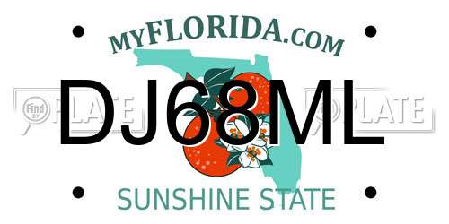 DJ68ML Florida License Plate