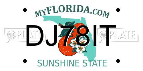 DJ78IT Florida License Plate
