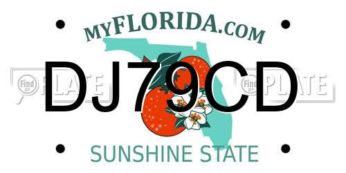 DJ79CD Florida License Plate