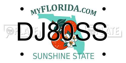 DJ80SS Florida License Plate