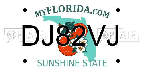 DJ82VJ Florida License Plate