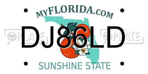 DJ86LD Florida License Plate