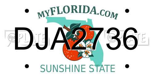 DJA2736 Florida License Plate