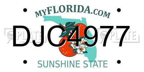 DJC4977 Florida License Plate