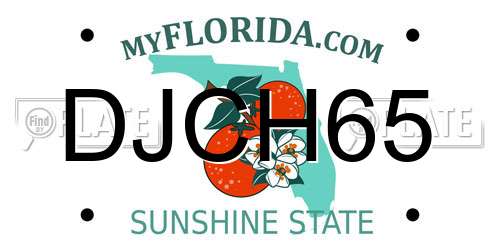 DJCH65 Florida License Plate