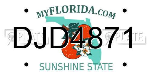 DJD4871 Florida License Plate