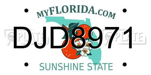 DJD8971 Florida License Plate