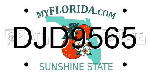 DJD9565 Florida License Plate