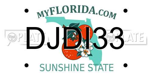 DJDI33 Florida License Plate