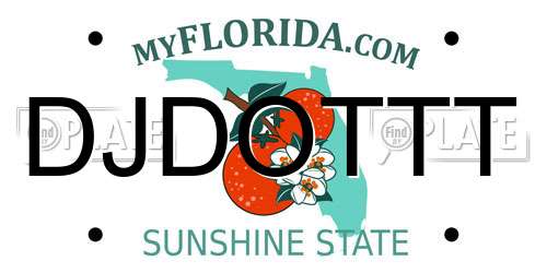 DJDOTTT Florida License Plate