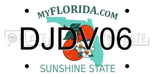 DJDV06 Florida License Plate