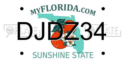 DJDZ34 Florida License Plate