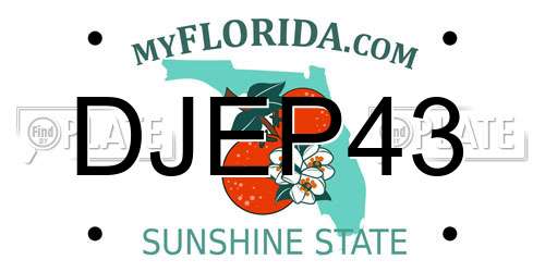 DJEP43 Florida License Plate