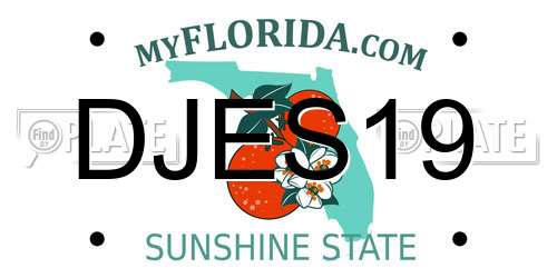 DJES19 Florida License Plate