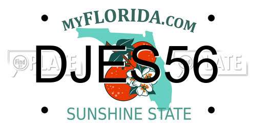DJES56 Florida License Plate