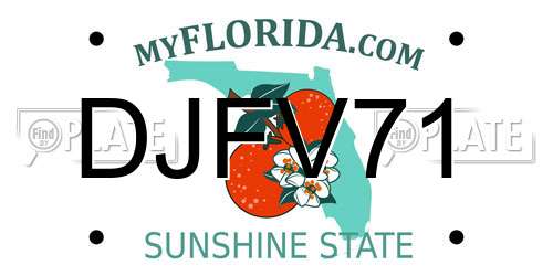 DJFV71 Florida License Plate