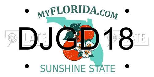 DJGD18 Florida License Plate