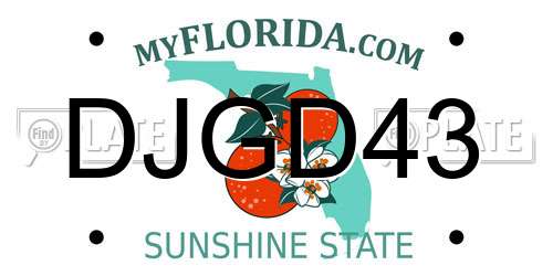 DJGD43 Florida License Plate