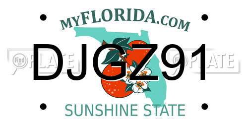 DJGZ91 Florida License Plate