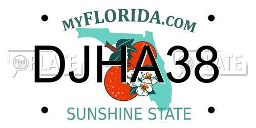 DJHA38 Florida License Plate