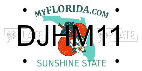 DJHM11 Florida License Plate
