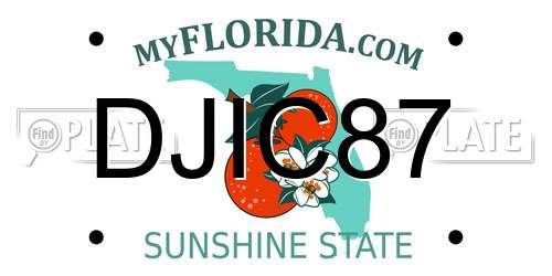 DJIC87 Florida License Plate