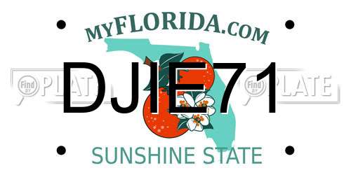 DJIE71 Florida License Plate