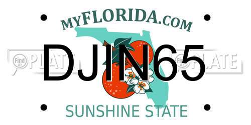 DJIN65 Florida License Plate