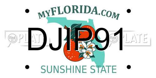 DJIP91 Florida License Plate