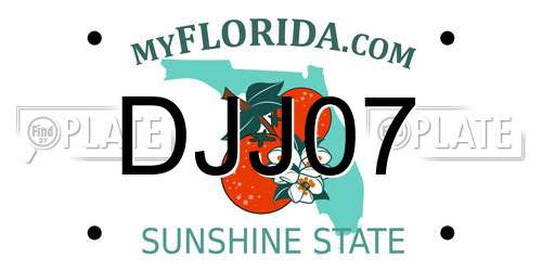 DJJ07 Florida License Plate