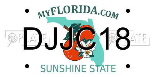 DJJC18 Florida License Plate