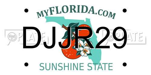DJJR29 Florida License Plate