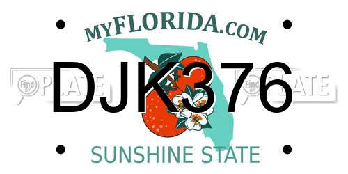 DJK376 Florida License Plate