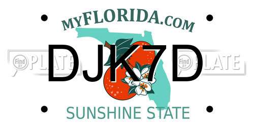 DJK7D Florida License Plate