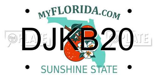 DJKB20 Florida License Plate
