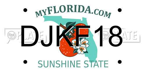 DJKF18 Florida License Plate
