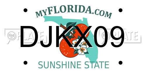 DJKX09 Florida License Plate