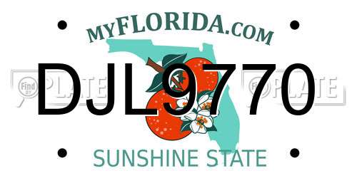 DJL9770 Florida License Plate