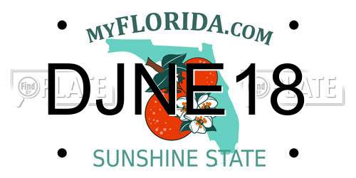 DJNE18 Florida License Plate