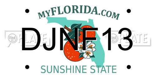 DJNF13 Florida License Plate