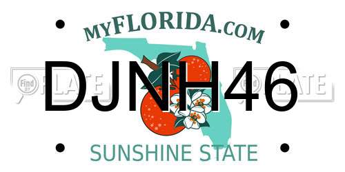 DJNH46 Florida License Plate
