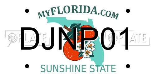 DJNP01 Florida License Plate