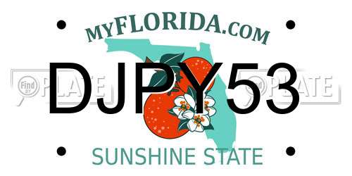 DJPY53 Florida License Plate