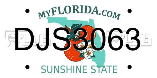 DJS3063 Florida License Plate