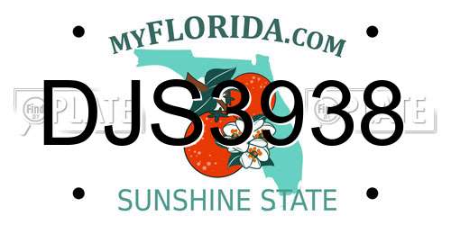 DJS3938 Florida License Plate