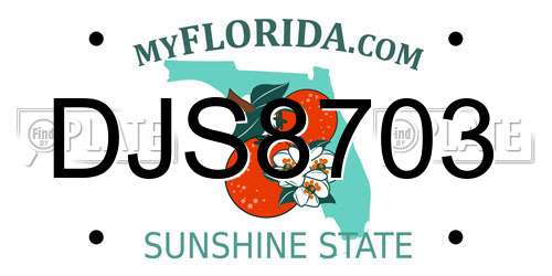 DJS8703 Florida License Plate