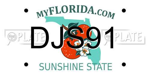 DJS91 Florida License Plate