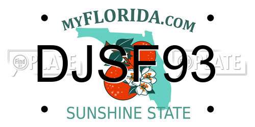 DJSF93 Florida License Plate